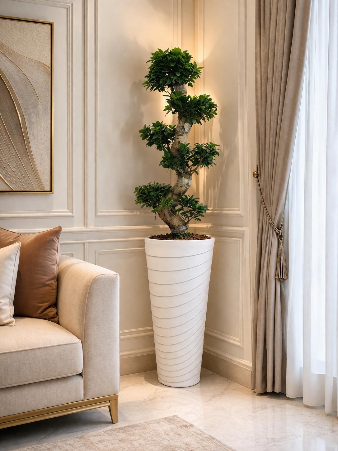 نبات بونساي مع اصيص بلاستيك انيق