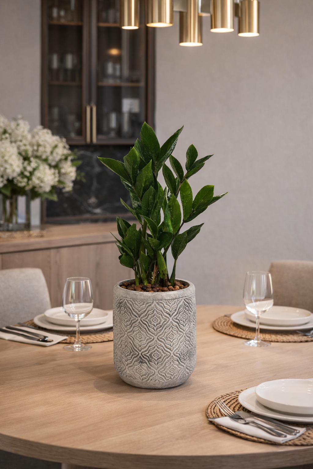 نبات الزاميا 2