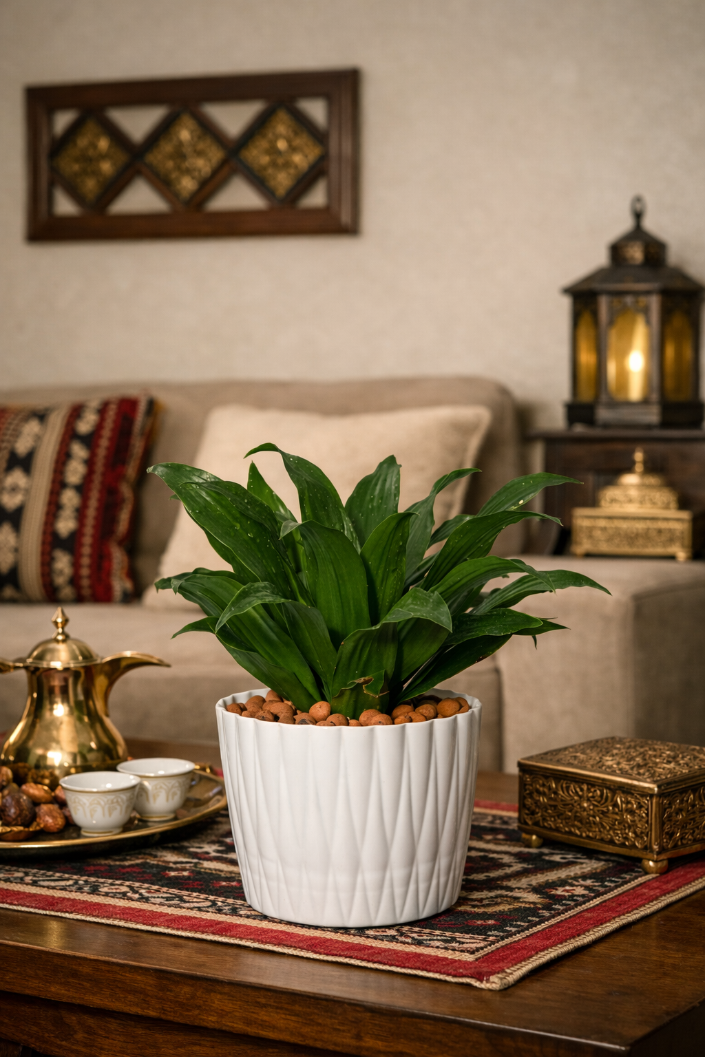 دراسينا كومبكات